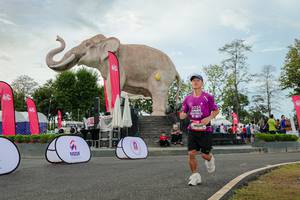 BIB: 
                            <button type="button" onclick="openModal(26528736)" class="btn btn-primary btn-sm float-right btn-popup" data-toggle="modal" data-target=".modal-high-quality">
                        <i class="fas fa-shopping-cart"></i> Add to Cart
                    </button>
                                            <button type="button" onclick="isThisMe(26528736, true)" class="btn btn-success btn-sm float-right btn-popup btn-isme hidden" data-toggle="tooltip" data-placement="bottom" title="นี่คือรูปของคุณใช่ไหม คลิกที่นี่เพื่อเอาเข้าอัลบั้ม">
                        <i class="fas fa-plus"></i> Add to album
                    </button>
                    <button type="button" onclick="isThisMe(26528736, false)" class="btn btn-warning btn-sm float-right btn-popup btn-isnotme hidden">
                        <i class="fas fa-ban"></i> Remove from album
                    </button>